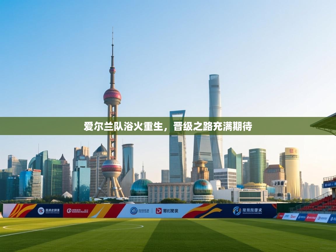 爱尔兰队浴火重生，晋级之路充满期待  第1张