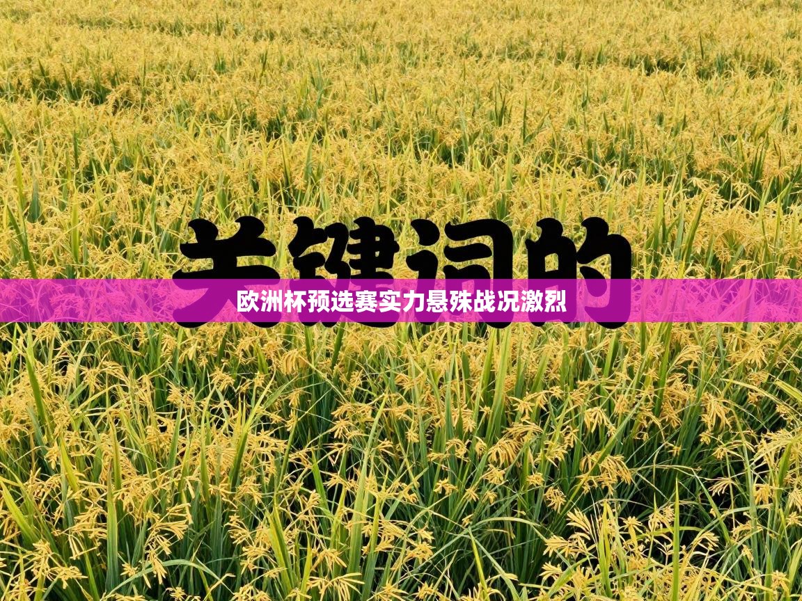 欧洲杯预选赛实力悬殊战况激烈  第2张