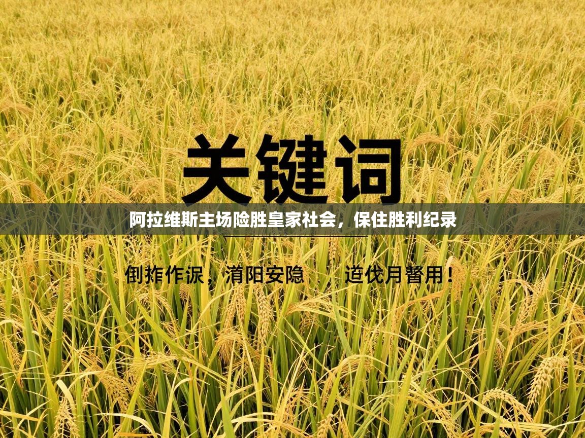 阿拉维斯主场险胜皇家社会，保住胜利纪录  第1张