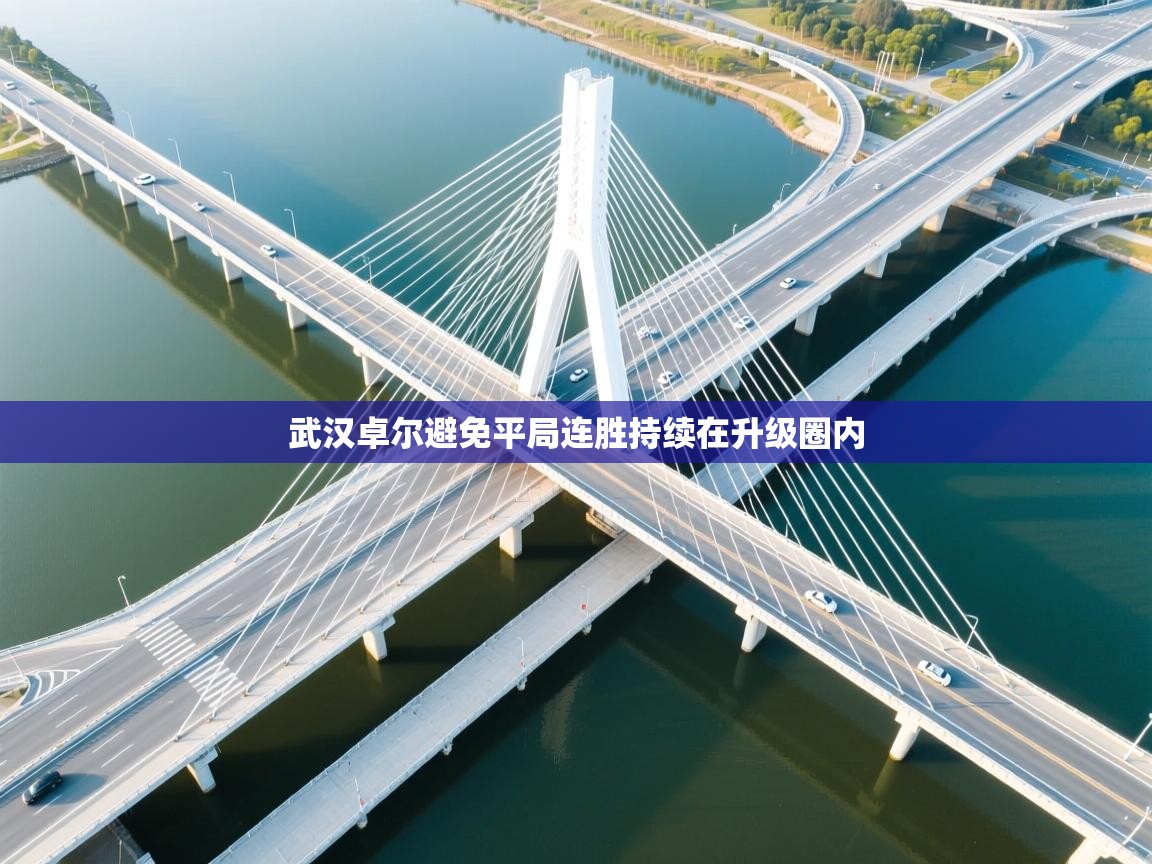 武汉卓尔避免平局连胜持续在升级圈内  第2张